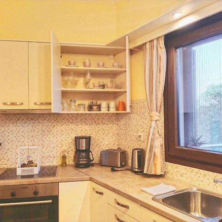 Meraki Apartment Zenempisatika Εξωτερικό φωτογραφία