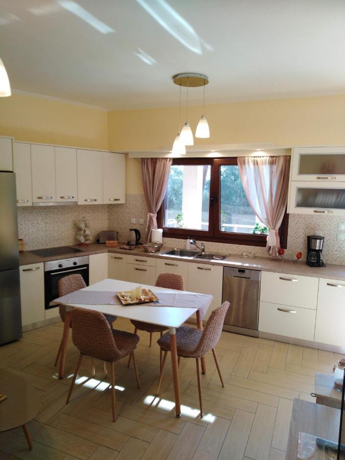 Meraki Apartment Zenempisatika Εξωτερικό φωτογραφία